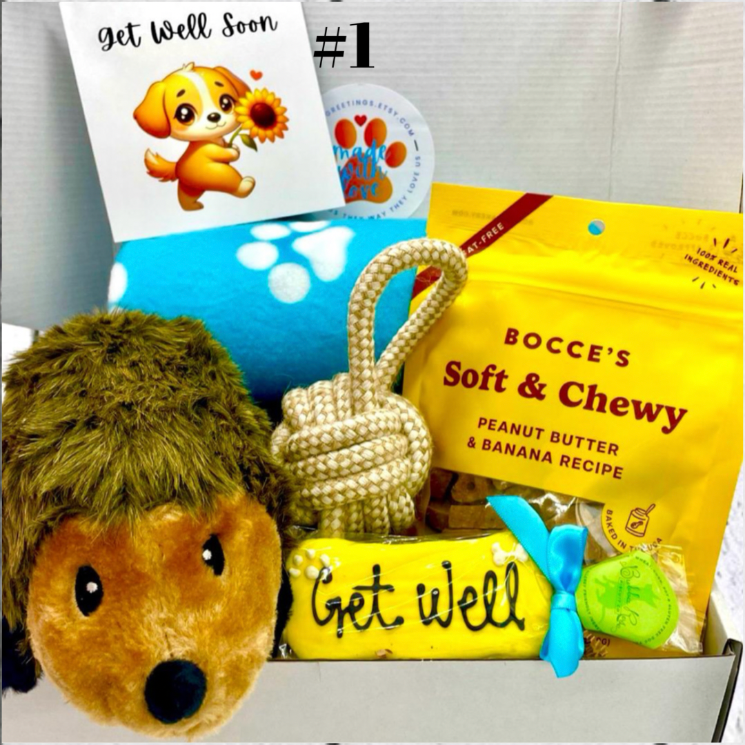 Large Get Well Hugs & Snuggles Dog Gift Box, Med-Large Dog, Dog Gift Box, Get Well Dog, Gift Idea for Dog Owners, Dog Get Well Soon