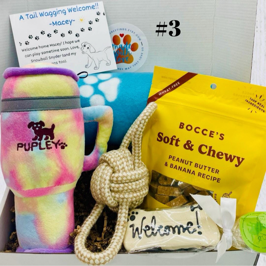 Large Welcome! New Dog Hugs & Snuggles Dog Gift Box, Med-Large Dog, Dog Gift Box, Welcome New Puppy, Dog Adoption, Gift Idea for Dog Owners