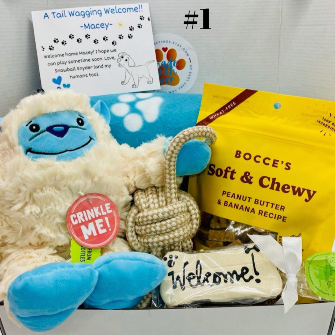 Large Welcome! New Dog Hugs & Snuggles Dog Gift Box, Med-Large Dog, Dog Gift Box, Welcome New Puppy, Dog Adoption, Gift Idea for Dog Owners