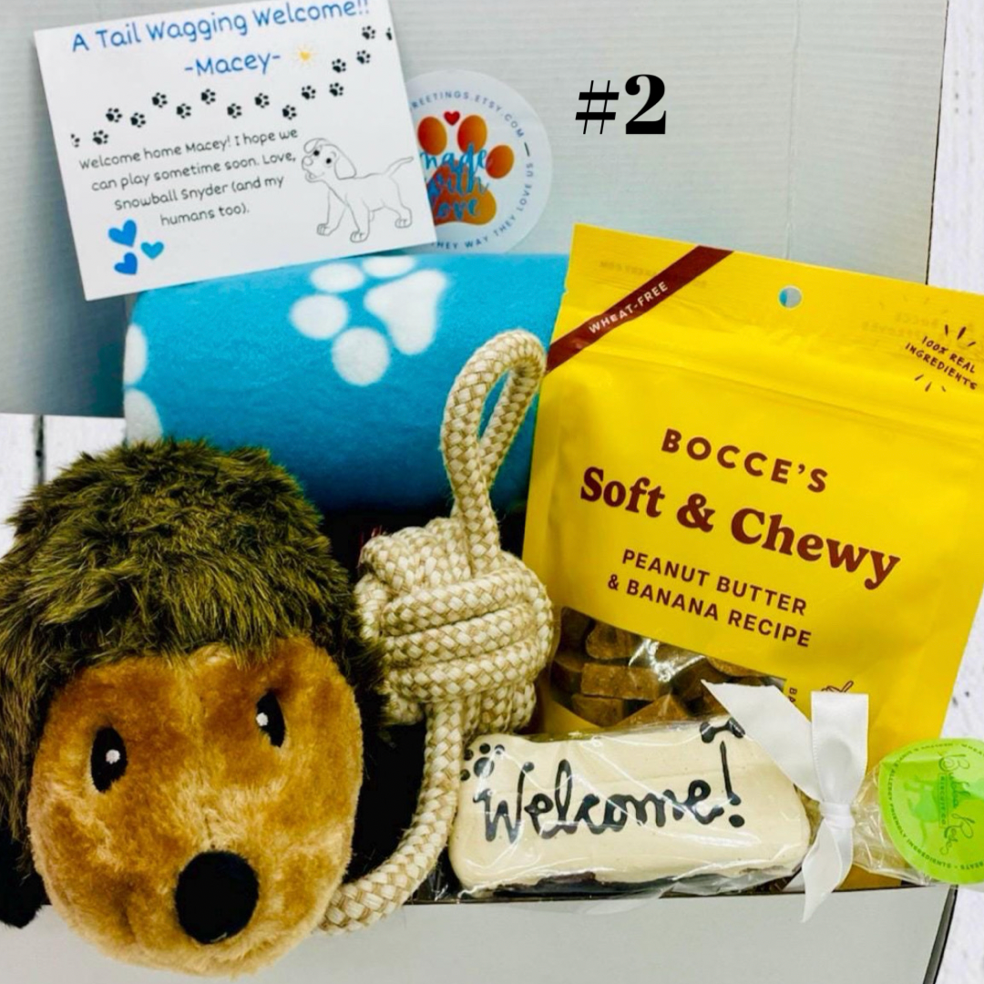 Large Welcome! New Dog Hugs & Snuggles Dog Gift Box, Med-Large Dog, Dog Gift Box, Welcome New Puppy, Dog Adoption, Gift Idea for Dog Owners