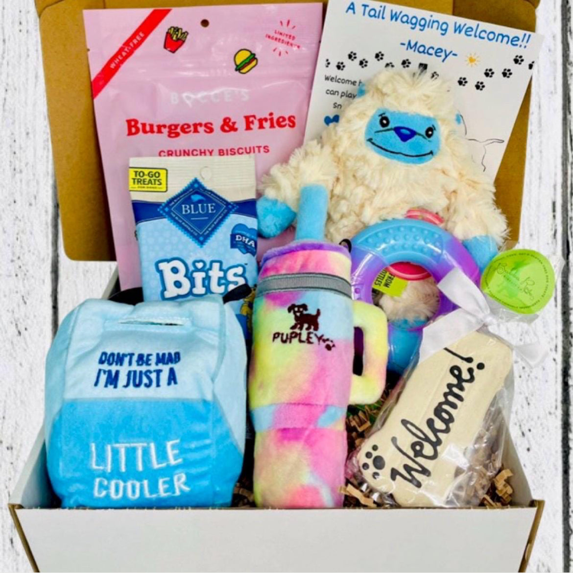 Yeti Tail-Waggin’ Good Time Gift Box, Small-Med Dog, New Puppy Gift, New Dog Adoption Gift, Welcome New Puppy,New Dog Mom