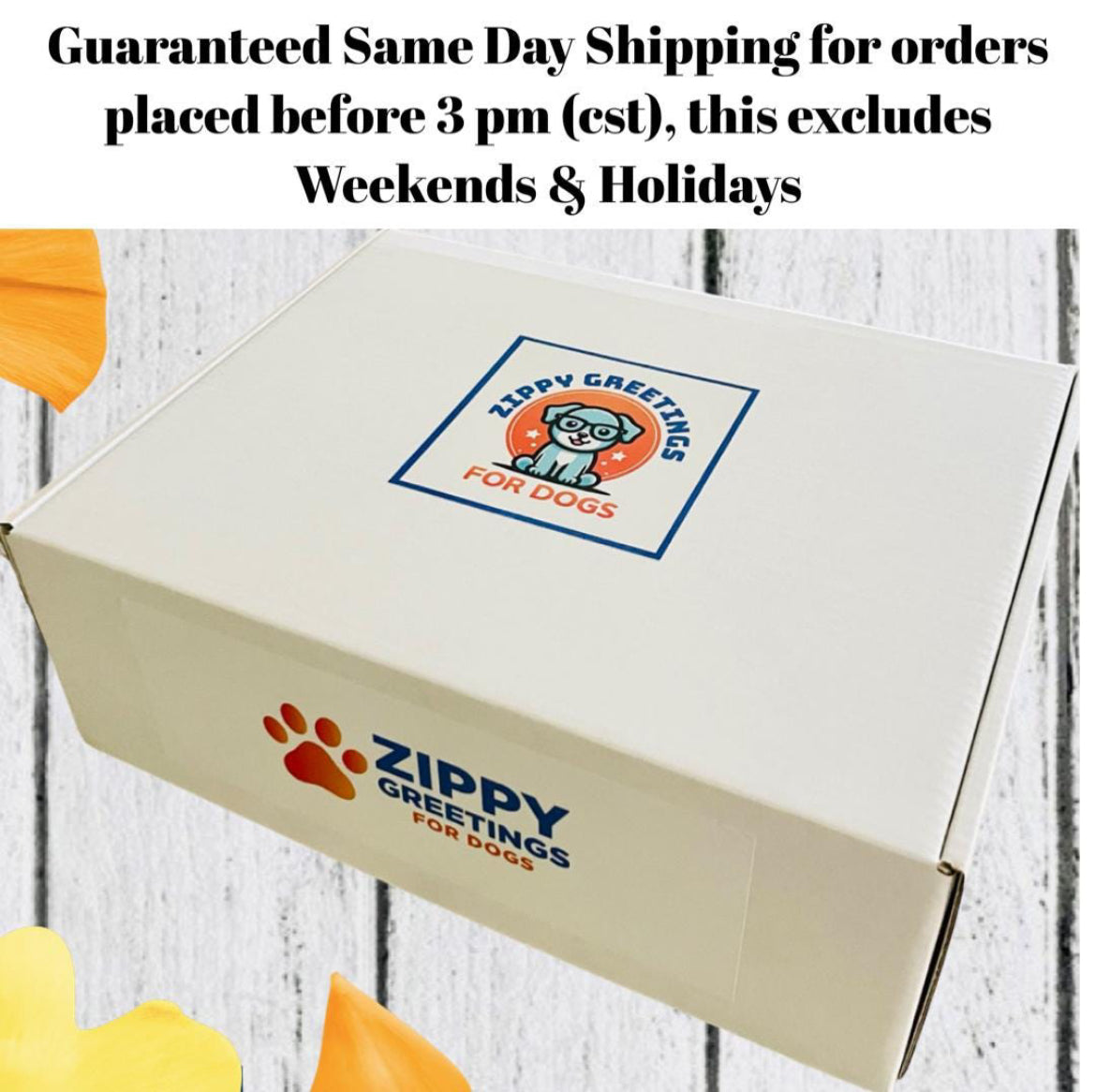 Slothy Love Get Well Pup Box, Small-Med Dog, Get Well Dog, Dog Care Package, Dog Gift Box, Dog Gift Basket, Dog Surgery Gift, Dog Get Well