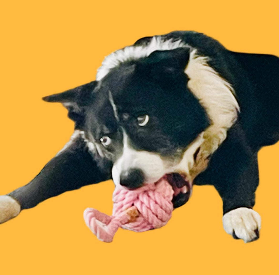 Durable Knot Rope Toy for Dog, Dog Rope Ball, Interactive Rope Chew Toy, Dog Chew Toy, Rope Dog Toy, Medium to Large Breeds