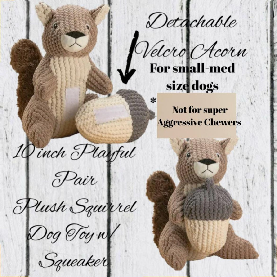 Squirrely Welcome New Puppy Gift Box, Welcome Home Puppy, Dog Adoption, Puppy Gift Basket, New Dog Mom, Welcome New Dog, New Dog Owner