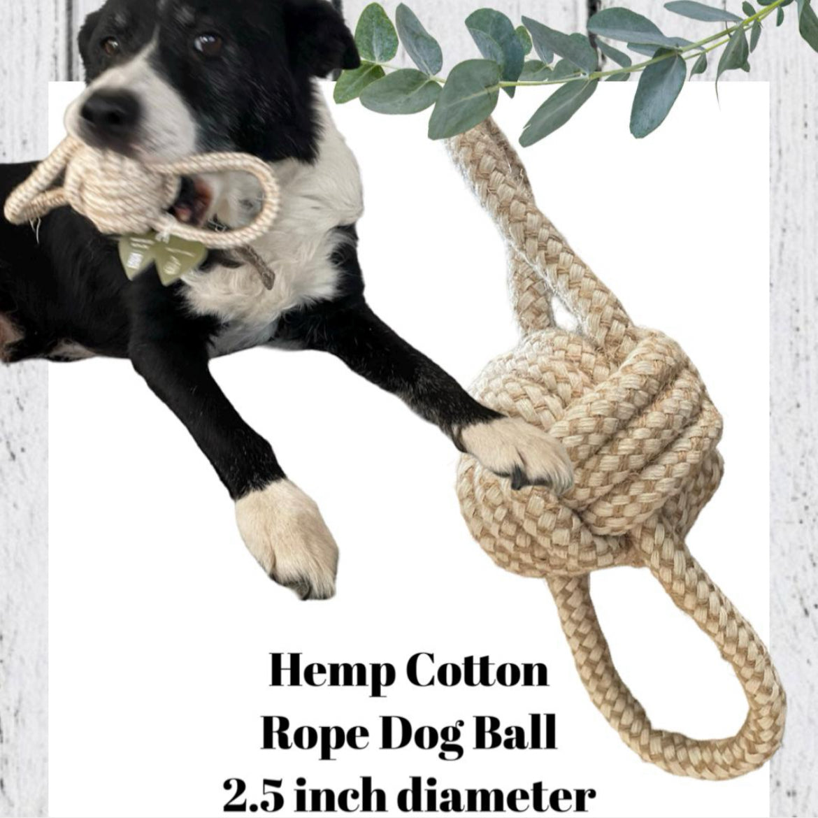 Large Welcome! New Dog Hugs & Snuggles Dog Gift Box, Med-Large Dog, Dog Gift Box, Welcome New Puppy, Dog Adoption, Gift Idea for Dog Owners