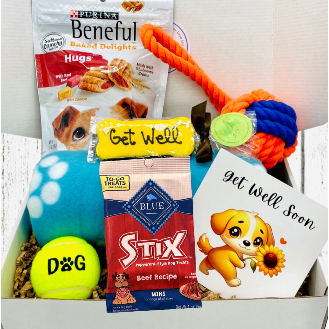 Luxury Dog Gift Dog Luxury Dog Dog ZippyGreetings luxury-dog-gift-dog-luxury-dog-dog-zippygreetings