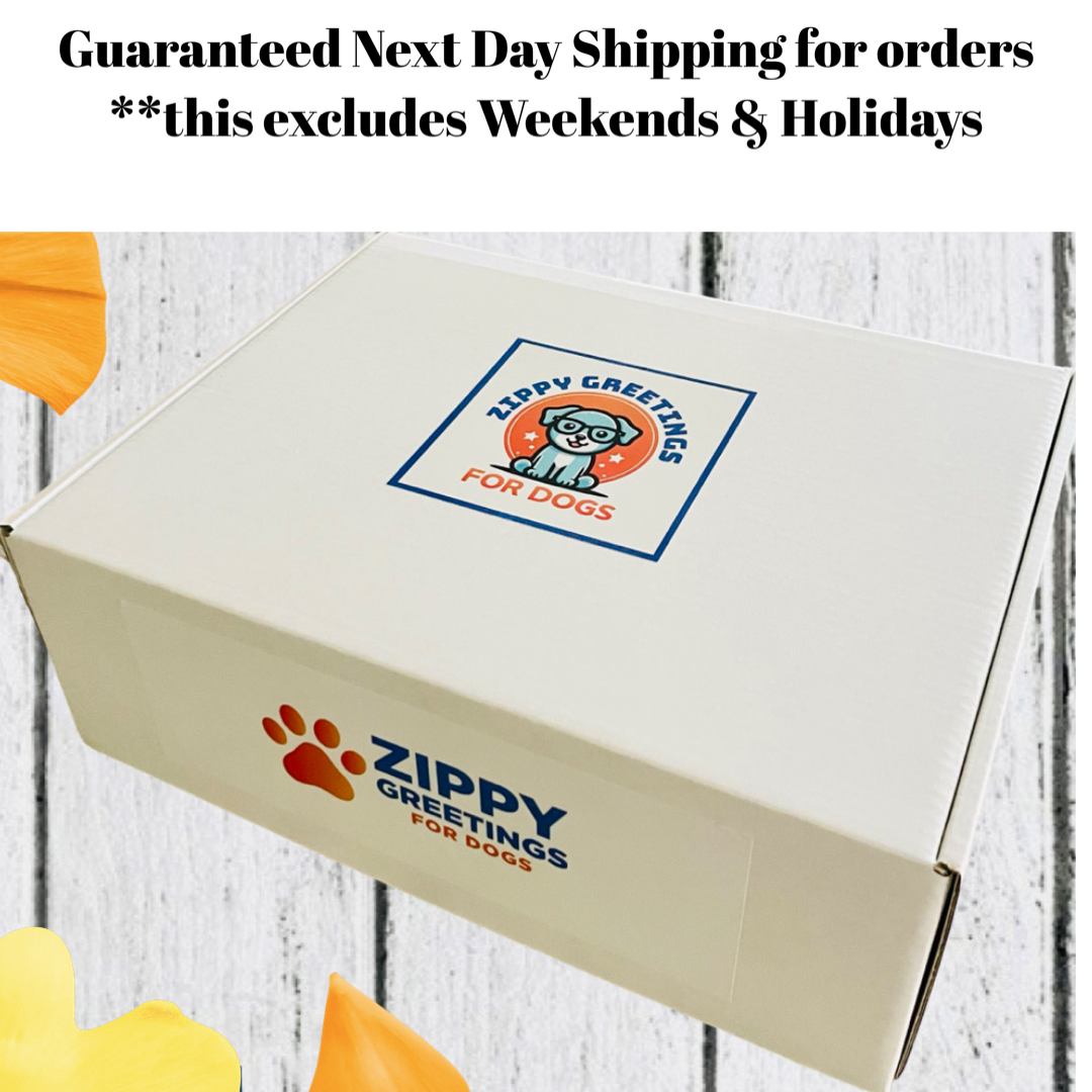 Squirrelly Comfort Pup Gift Box - Dog Get Well (2 Color Options)