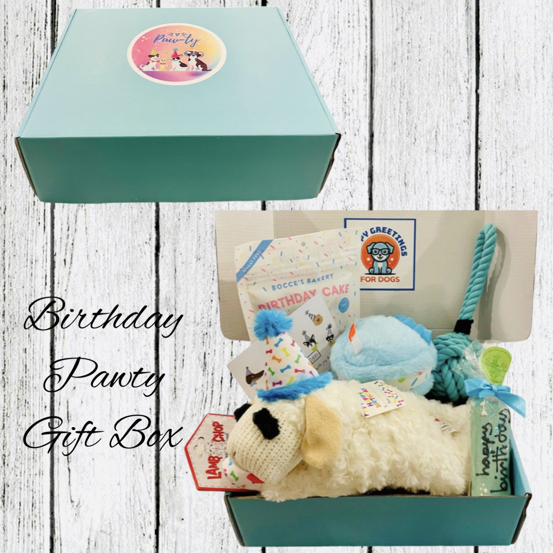 Birthday Dog Gift Box