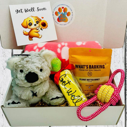 Koala Hugs Get Well Pup Box, Small-Med Dog, Get Well Dog, Dog Care Package, Dog Gift Box, Dog Gift Basket, Dog Surgery Gift, Dog Get Well