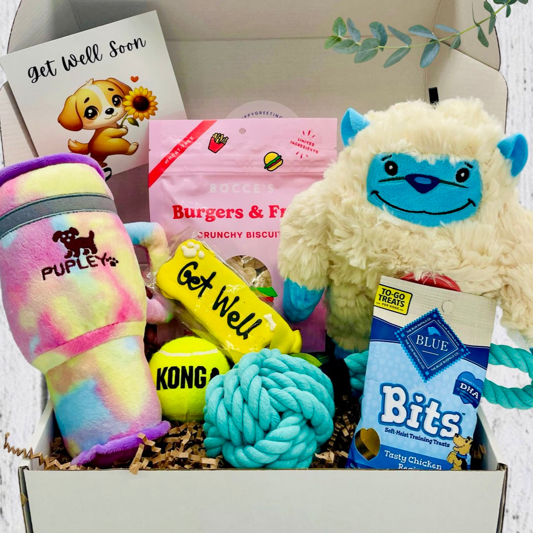 Large Yeti Get Well Hugs& Tumbler Snuggles Dog Gift Box, For Med-Large Dog,Get Well Dog, Dog Care Package, Dog Gift Box,Dog Surgery