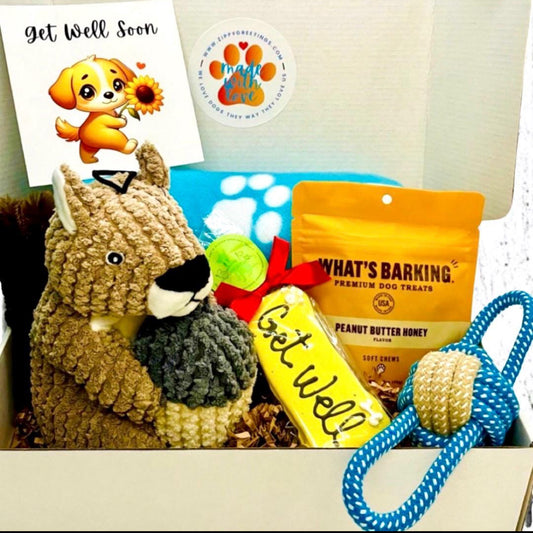 Squirrely Love Get Well Box, Small-Med Dog, Get Well Dog, Dog Care Package, Dog Gift Box, Dog Gift Basket, Dog Surgery Gift, Dog Get Well