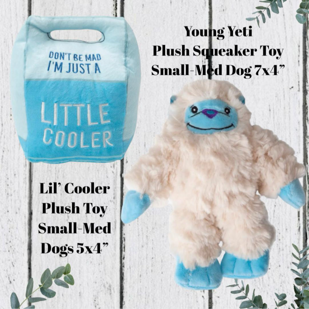 Yeti Tail-Waggin’ Good Time Gift Box, Small-Med Dog, New Puppy Gift, New Dog Adoption Gift, Welcome New Puppy,New Dog Mom