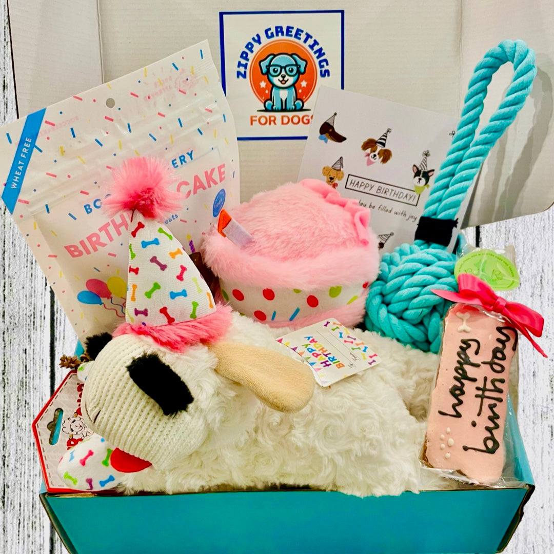 Birthday Pup Gift Box