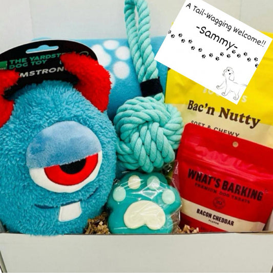 Welcome Monster Mash Gift Box for Dog: One Eyed Monster Edition, New Dog Gift, New Adoption Dog, New Dog Owner Gift, Welcome Home Dog