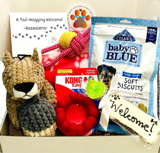 Squirrely Welcome New Puppy Gift Box, Welcome Home Puppy, Dog Adoption, Puppy Gift Basket, New Dog Mom, Welcome New Dog, New Dog Owner