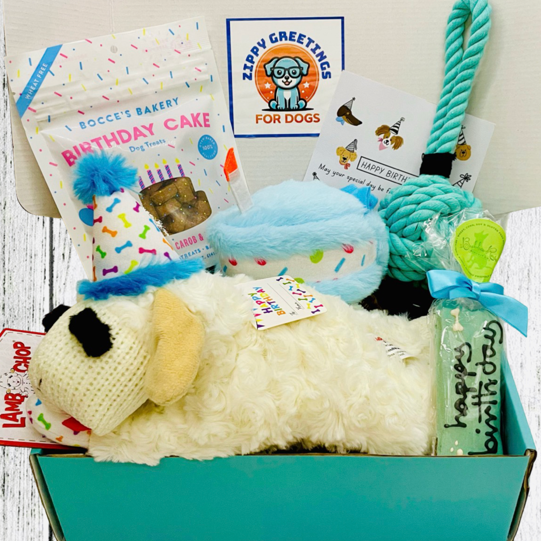 Birthday Dog Gift Box