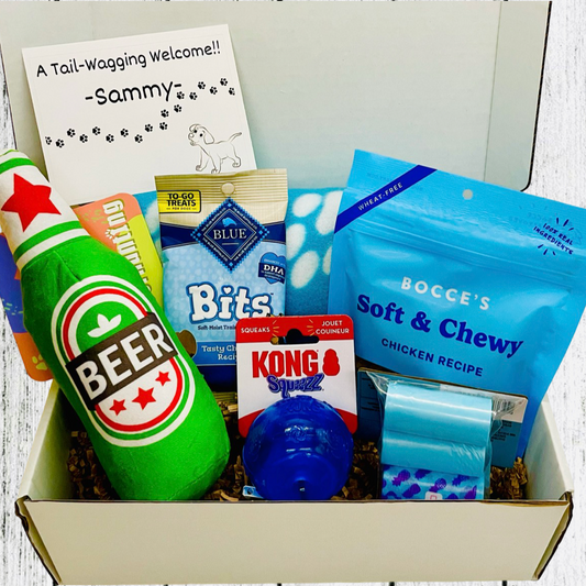 Puppy Gift Box