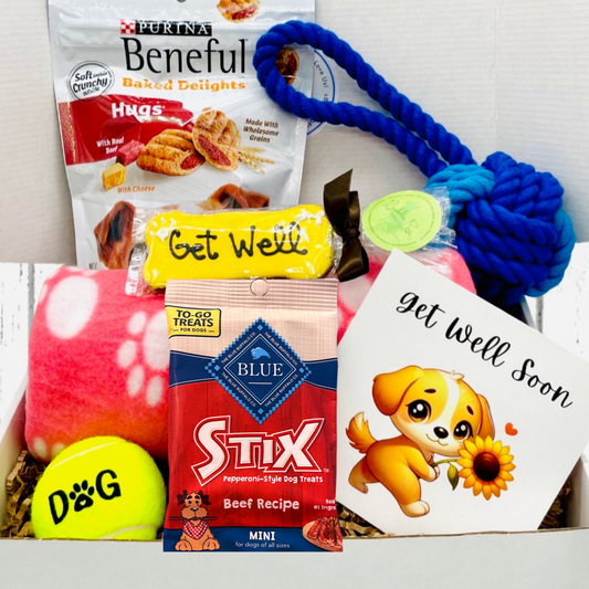 Pawsitive Healing Pup Gift Box - Dog Get Well