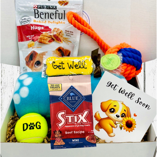 Pawsitive Healing Pup Gift Box - Dog Get Well