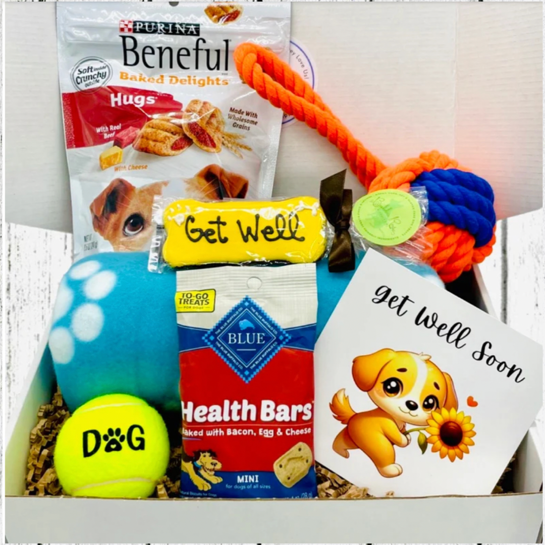 Pawsitive Healing Pup Gift Box - Dog Get Well