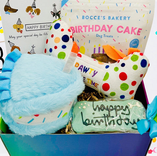 Dog Gift Box with Cake 