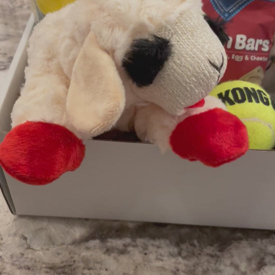 Dog Gift Box