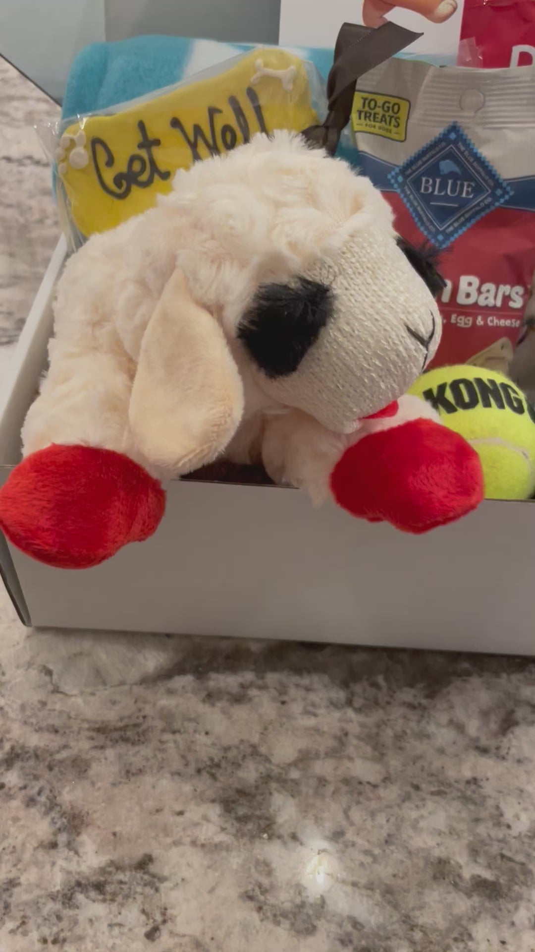 Dog Gift Box