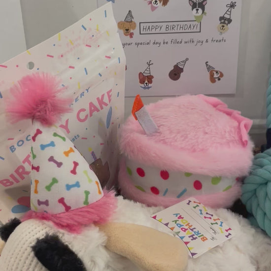 Birthday Pup Gift Box